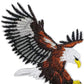 American Bald Eagle Patch (3.5 Inch) Iron/Sew-on Badge Wildlife Outdoor DIY Patches