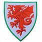 Wales Football Crest Patch (3 Inch) Iron-on Badge Soccer Crest