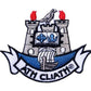 Dublin City Patch (3 Inch) GAA Gaelic Football Hurling Crest Iron or Sew-on Badge DIY Patches