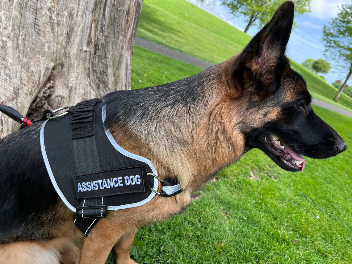 Assistance Dog Patch (6 Inch) Velcro Hook and Loop Badge K9 Harness Pa –  karmapatch.com