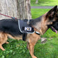 K-9 Thin Orange Line Search and Rescue Patch (3.5 Inch) Iron/Sew-on Badge Canine K9 Service Dog