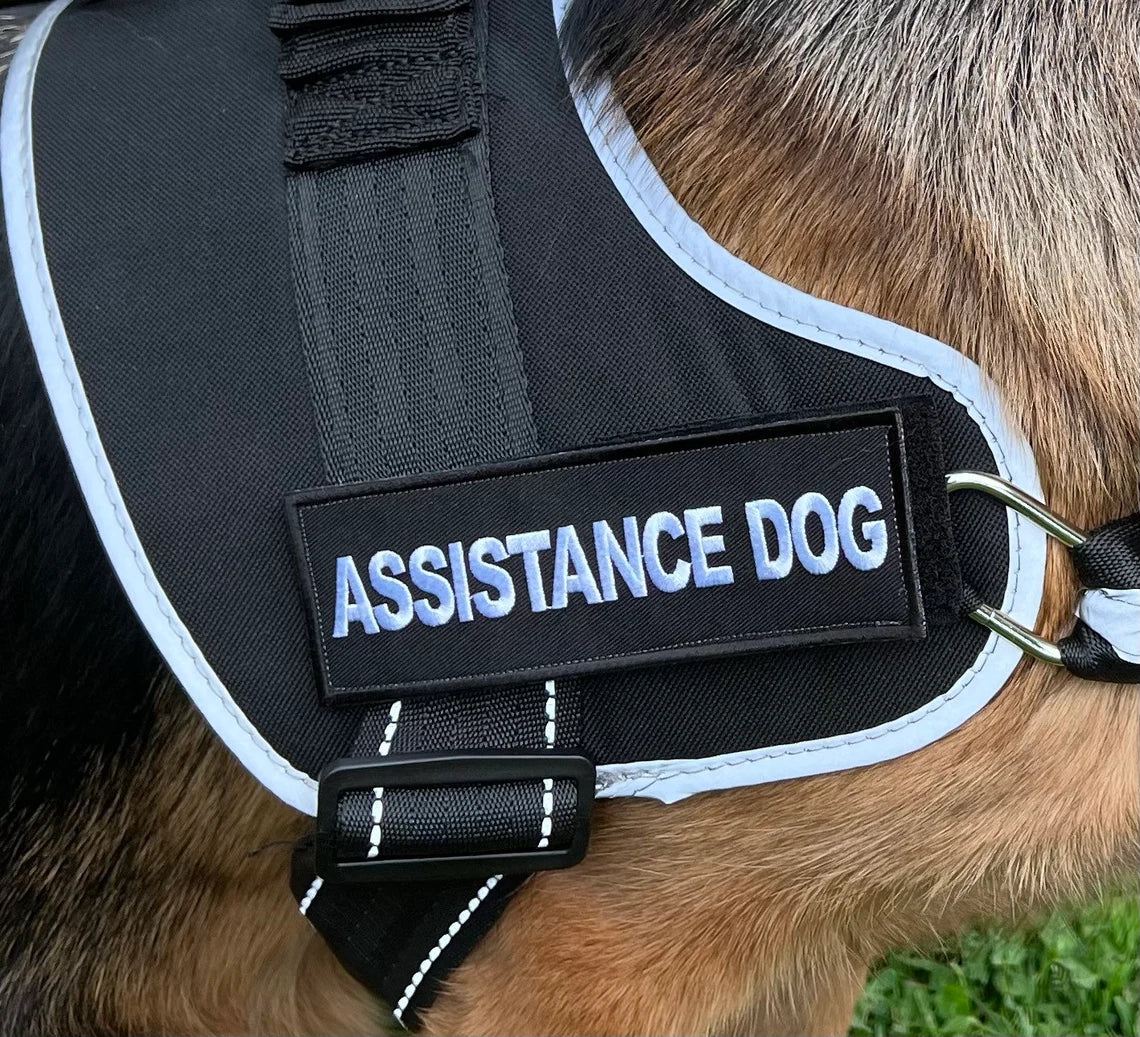 Assistance Dog Patch (6 Inch) Velcro Hook and Loop Badge K9 Harness Patches