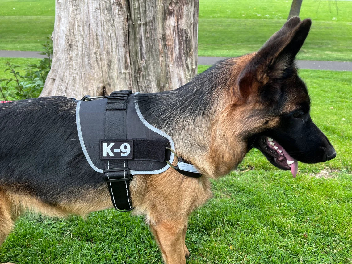 K-9 Patch (3 Inch) Embroidered Velcro (Hook + Loop) K9 Handler Badge Canine Dogs Harness Dog Jacket Vest, Training Gift Patches